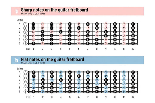 Learn the Guitar Fretboard in 90 Minutes